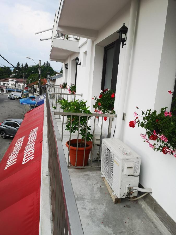Pensiunea Mikelis International Hotell Curtea de Argeş Eksteriør bilde
