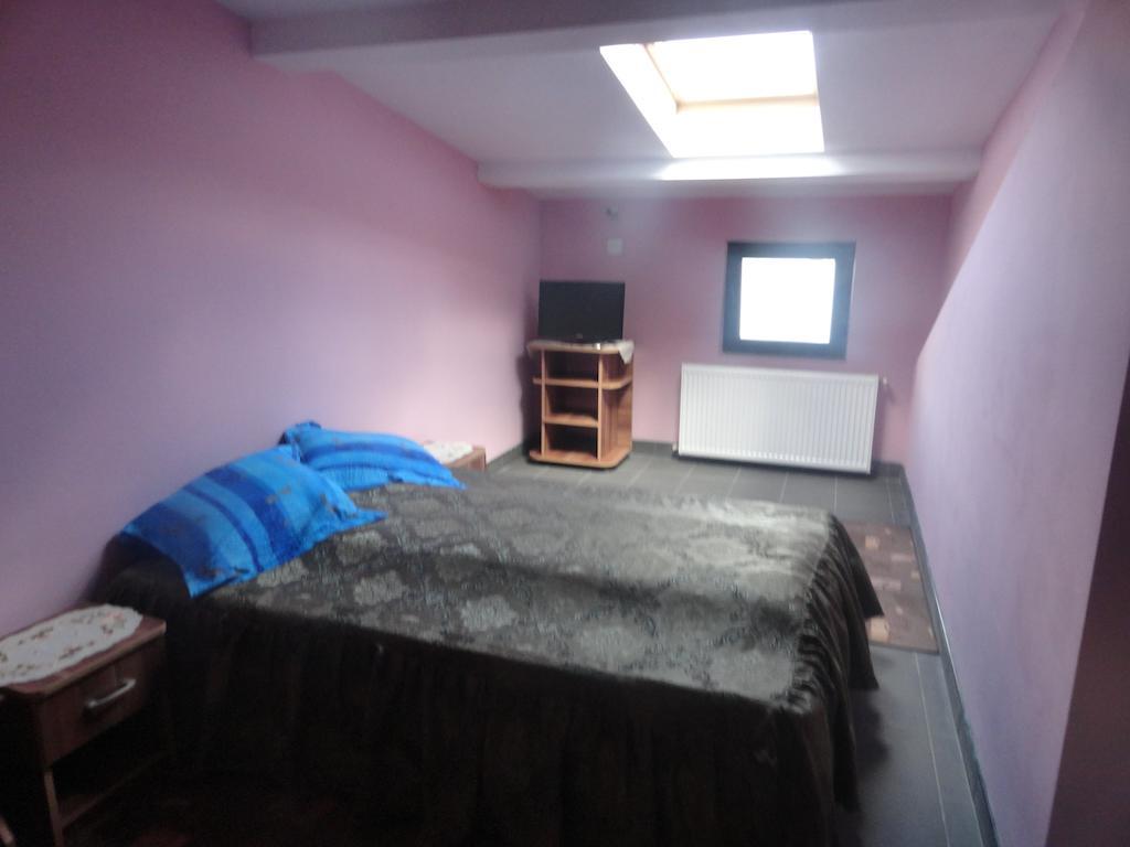 Pensiunea Mikelis International Hotell Curtea de Argeş Rom bilde